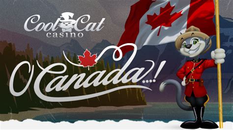 COOL CAT CASINO BONUS CODES (71 new bonuses today).